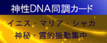 神性DNA同調カード
