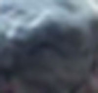 B B