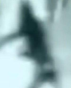 ③
