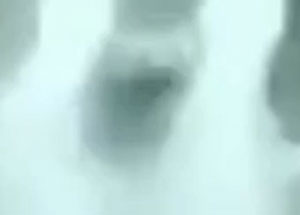 ④